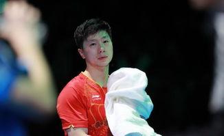 娱乐吃瓜酱马龙,娱乐吃瓜酱中的乒乓球王者